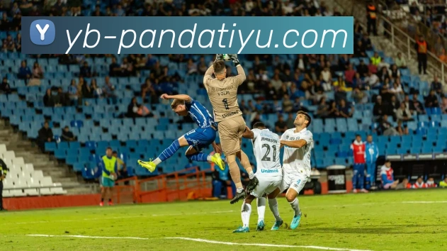 App Interface Preview